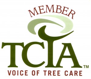 TCIA Logo for Greene Tree Care in Camarillo, CA